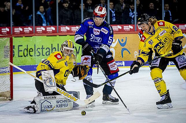 Bild 27: Bilder: Wild Wings vs. Krefeld Pinguine