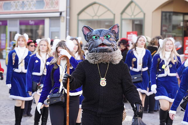 Sonntag: Endlich ist der Kater wach und aus dem Romäusturm befreit. der Fasnet steht nichts mehr im Wege.
