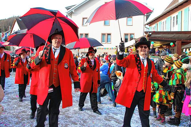 Bild 8: 56 Zünfte am Start beim Kleggau-Narrentreffen - hier die Bilder