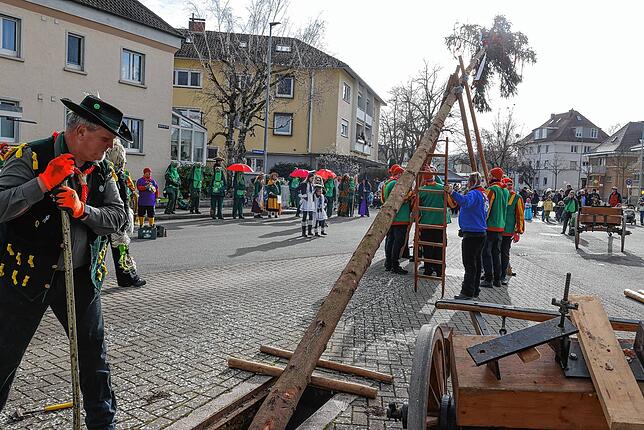 Bild 11: Bilder des Narrenbaumstellens der Froschenzunft Radolfzell