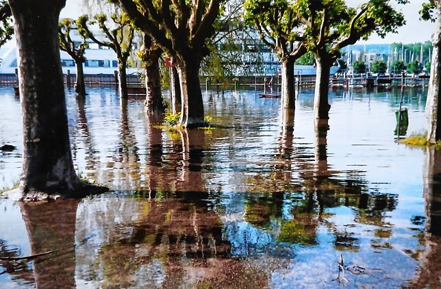 Bild 8: Hochwasser am Bodensee 1999: Diese Leserbilder zeigen das Ausmaß in Konstanz