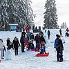 Der Feldberg wurde am vergangenen Sonntag regelrecht gestürmt. Vor allem Familien kamen zum Schlittenfahren. Der Bürgermeister der ...