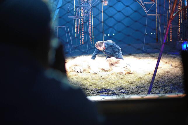 Bild 30: Circus Krone in Konstanz: Eindrücke vom glanzvollen Premierenabend der Manege – die besten Bilder!