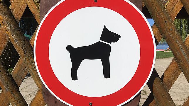 Hunde müssen bei der Landesgartenschau draußen bleiben (Symbolbild).