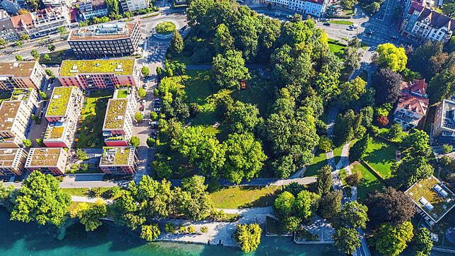 Der Herosé-Park, eine grüne Lunge von Petershausen, war dereinst der Privatpark der Familie Herosé. Links daneben die Siedlung ...