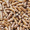 Pellets bestehen aus Holzspänen, möglichst aus Holz aus regionalen Wäldern. Derzeit sind sie aber teuer &ndash; ausgerechnet, weil ...