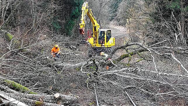 Ein Zweiwegebagger ist zwischen Schwackenreute und Stockach im Einsatz. Die Arbeiten führt ein externer Dienstleiter im Auftrag des ...