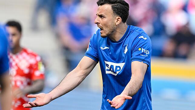Auch Haris Tabakovic war in Hoffenheim kein Stammspieler