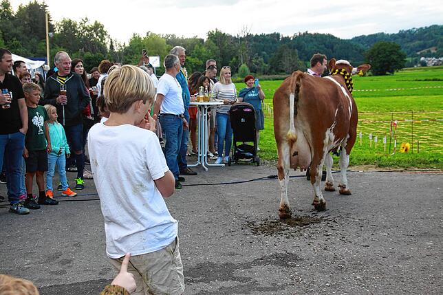 Bild 5: Die besten Bilder von der 22. Kuhschisslotterie in Seelfingen