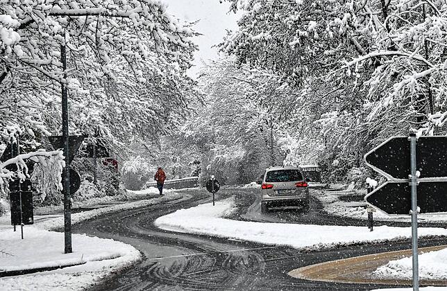 Bild 6: Die schönsten Bilder vom verschneiten Markdorf