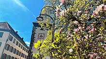 Frühlingsstimmung vor dem Villinger Bickentor. Ob das Wetter zum verlängerten ersten Mai-Wochenende hält, was es verspricht, verrät ...