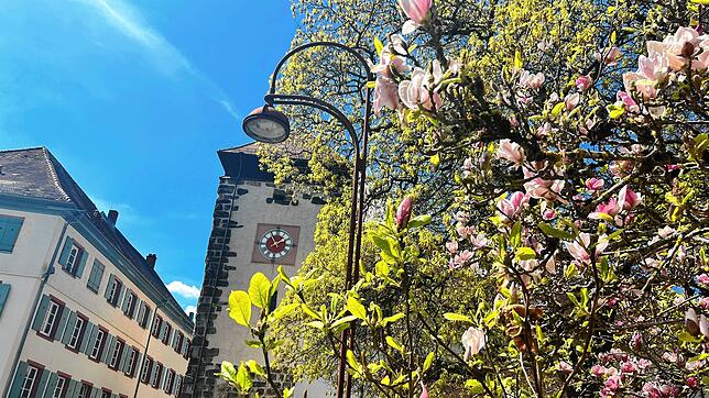 Frühlingsstimmung vor dem Villinger Bickentor. Ob das Wetter zum verlängerten ersten Mai-Wochenende hält, was es verspricht, verrät ...