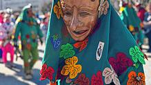 Bild : Fasnacht 2025: Alle Bilder vom Gemeinschaftsumzug in Mühlhofen