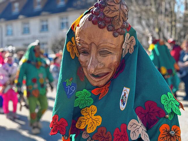 Bild 1: Fasnacht 2025: Alle Bilder vom Gemeinschaftsumzug in Mühlhofen