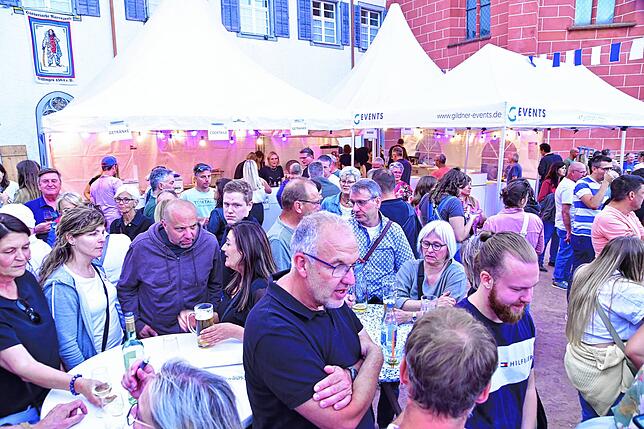 Bild 22: Die Narrozunft erwies sich wieder als perfekter Gastgeber beim Sommerfest im Spitalgarten.