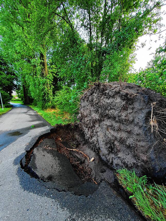 Bei Pfohren hat der Sturm einen Baum komplett entwurzelt und die Straße dadurch beschädigt.