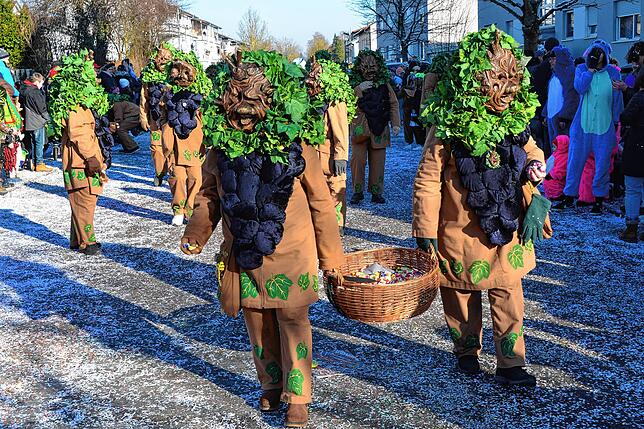Bild 9: Narrentreffen Albbruck: So viel Spaß macht der große Umzug