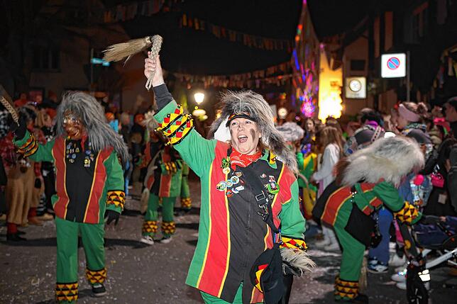 Bild 9: Nachtumzug Möggingen 2025: Fasnacht in Bildern – 30 Gruppen in voller Pracht