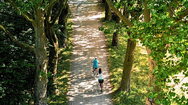 Auf fünf familienfreundlichen Routen können Fahrradfahrer im Rahmen einer Radschnitzeljagd Ausflugsziele im Bodenseekreis erradeln und ...