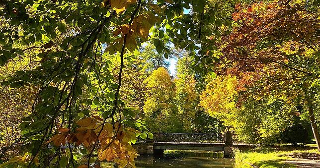 Bild 26: So schön ist der Herbst im Schwarzwald und auf der Baar