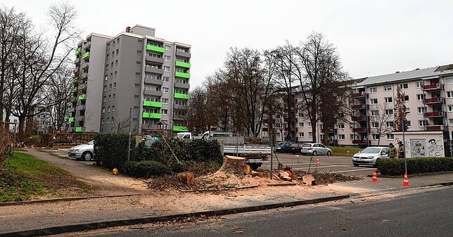 Weil die oberirdischen Parkplätze später in der Tiefgarage untergebracht sind, gebe es trotz zweier Gebäude mehr Platz für Grünflächen, ...