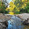 Immer weniger Wasser führt die Sissle im Fricktal im Kanton Aargau. Deshalb werden Fische umgesiedelt &ndash; dorthin, wo im Bach noch ...