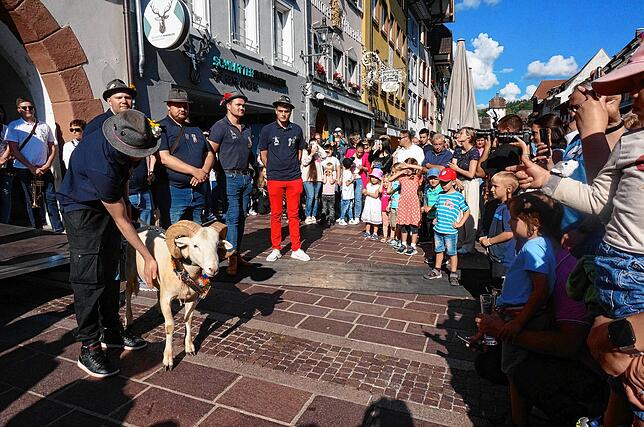 Bild 15: Tolle Stimmung, cooler Bock: Bilder von der Bocktaufe