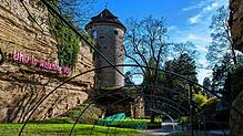 Die Hoffnung war vergebens. Der Uhu-Tunnel bleibt zwar in diesem Sommer erhalten, neuen Nachwuchs wird es nach dem Tod der letzten ...