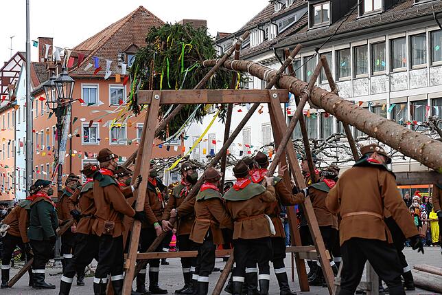 Bild 12: Bilder vom Narrenbaumstellen der Narrizella Ratoldi auf dem Marktplatz