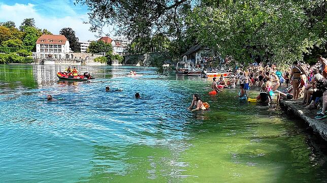 Das Rheinschwimmen ist ein großes Sommervergnügen. Am 11. August soll es wieder stattfinden. Bild: Stadtsportausschuss