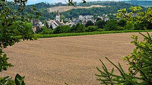 Eigeltingen ist eingebettet in Natur. Doch für jede Baumaßnahme braucht es einen Ausgleich, nicht immer kann diese im Gebiet selbst ...