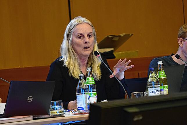 Kämmerin Elisabeth Haupter stellt den Haushaltsplan für 2025 vor.