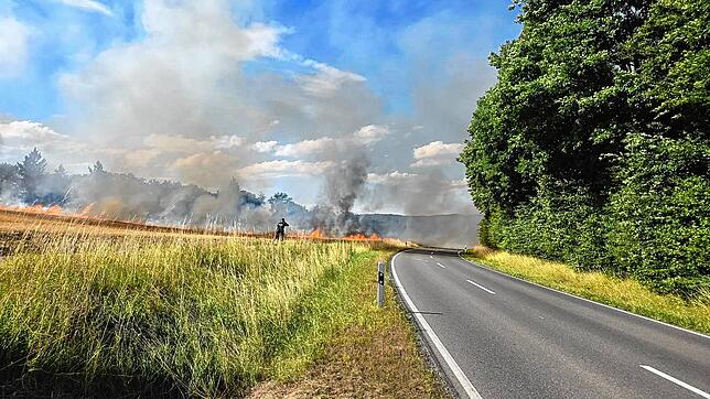 Beim Buchhof zwischen Möggingen und Radolfzell brannte am Samstag, 5. Juli, ein Feld lichterloh. Die Feuerwehr konnte den Brand ...
