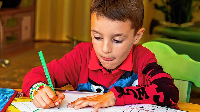 Ein Schüler macht seine Hausaufgaben. So weit, so gut &ndash; aber neuerdings müssen auch immer mehr Politiker ihre Hausaufgaben machen.