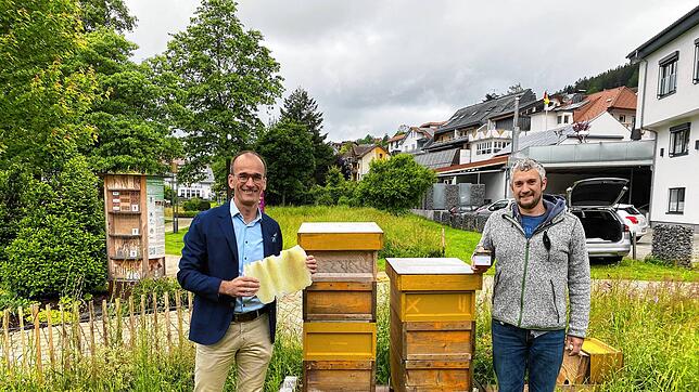 Bürgermeister Jörg Frey (links) und Imker Christian Brinkhus bei den Bienenvölkern im Schonacher Kurpark mit dem neu gewonnenen Honig. ...
