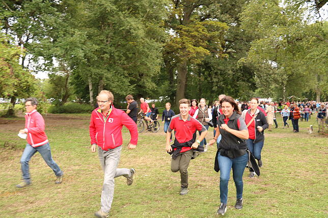 Bild 23: Bilder vom Marathon der Vierspänner beim Reitturnier in Donaueschingen