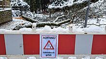 Bild : Achtung!  Schnee schmilzt, Astbruchgefahr steigt