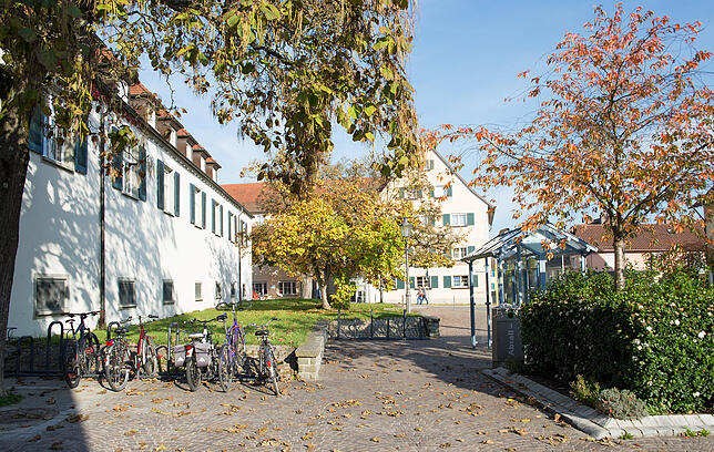 Das Grün vor dem Bürgerhaus ist durch eine Mauer unzugänglich gemacht und ein Großteil der Fläche ist versiegelt. Auch hier gibt es ...