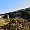 Bevor die zweite Brücke entstehen kann, muss viel an Vorplanung gemacht werden. Dazu zählen auch die Rodungen im Frühjahr 2021. Beim ...