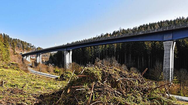 Bevor die zweite Brücke entstehen kann, muss viel an Vorplanung gemacht werden. Dazu zählen auch die Rodungen im Frühjahr 2021. Beim ...