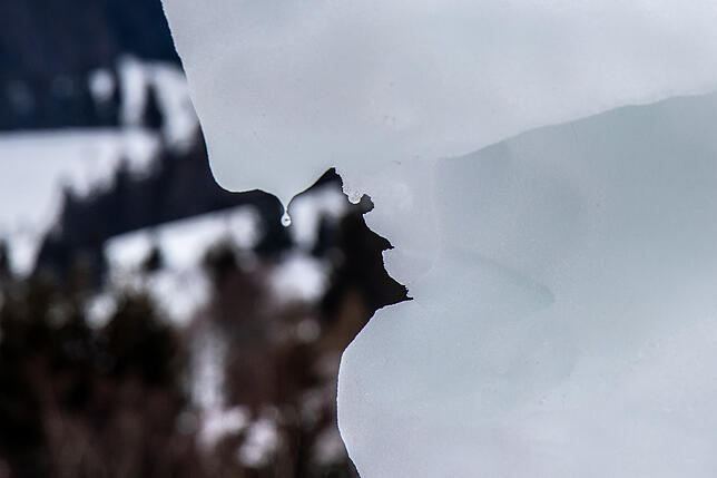 Bild 11: Eiskalte Kunst entsteht beim dritten Schneeskulpturenfestival in Bernau