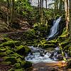 Den Schluchtensteig kann man in mehreren Etappen durchwandern. Auf jeder dieser Etappen gibt es Natur-Highlights zu sehen.