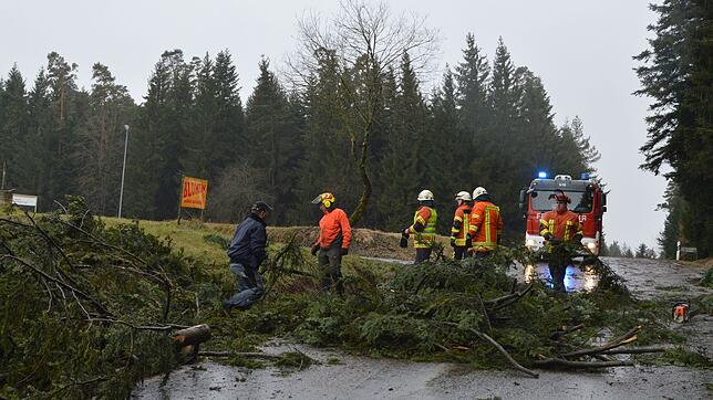 Mitglieder der Feuerwehr entfernen auf der Straße von Weiler nach Burgberg zersägte und umgestürzte Bäume und Äste. Foto: Lothar Herzog