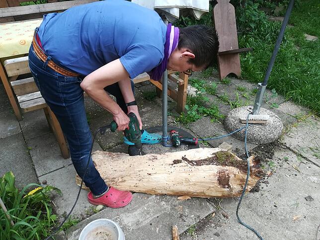 Ellen Claaßen bohrt hunderte Löcher in den alten Baumstamm. Wichtig dabei ist, die Löcher nicht in das Stirnholz zu bohren, sondern im ...