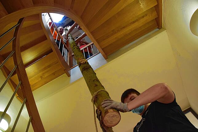 Bild 16: 18 Meter hoher Narrenbaum schwebt per Kran ins Museum ein: Der ungewöhnliche Einsatz der Zimmerergilde für die Fasnachts-Ausstellung in Bildern