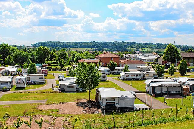 Dieser Baum diene vielen Gästen als Fotomotiv, verrät Jürgen Blum vom Camping- und Ferienpark Orsingen.