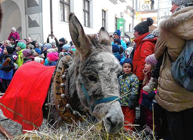 Der Nikolaus ist mit einem Eselgespann gekommen.