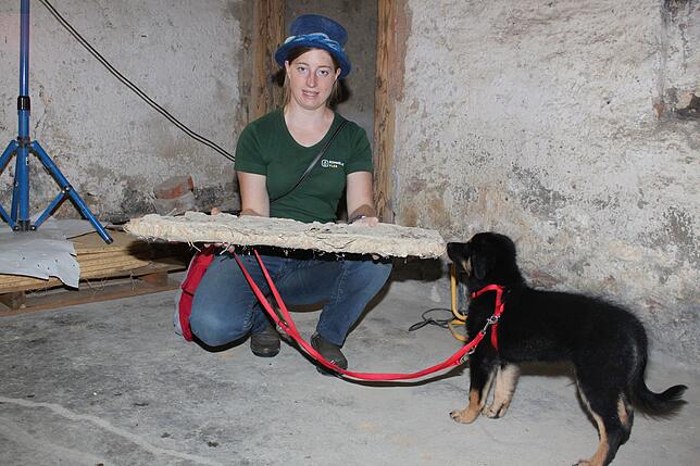 Christina Hansen zeigt ein Brett der Backhausdecke. Für den Deckenbau wurden die Bretter einst mit Stroh umwickelt, kräftig mit Lehm ...