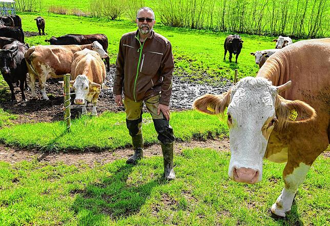 Wolfram Haas im Mai 2022 inmitten der Kuhherde. Die Landwirtsfamilie aus Brigach hat die Milchviehhaltung aufgegeben. Auf ihren Flächen ...