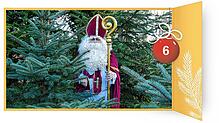 Der Nikolaus Ralf Schuhwerk inmitten vieler Weihnachtsbäume.